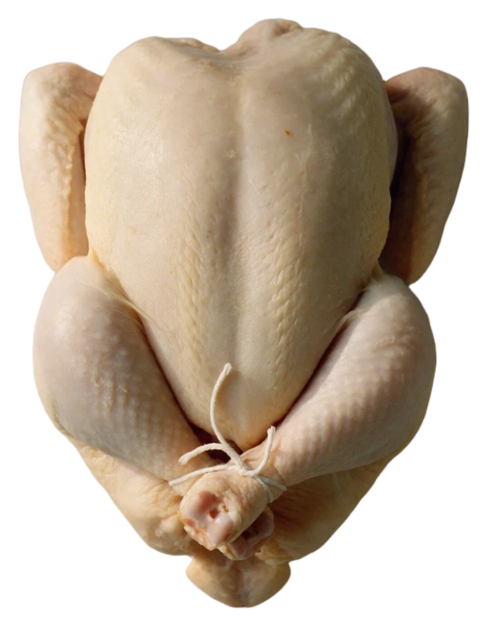 A whole free-range chicken, trussed with twine.
